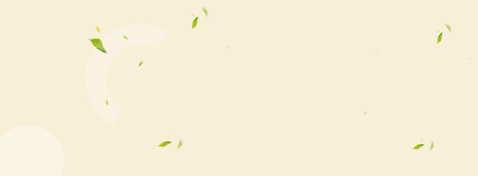 slider11