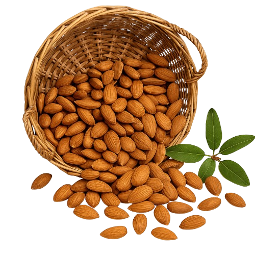 almond almnd
