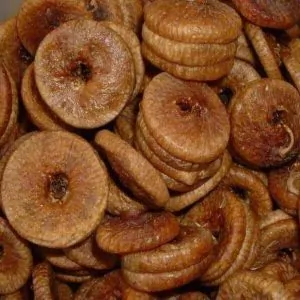 Fig (انجیر)