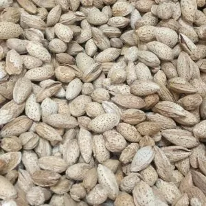 Almonds (kaghzi badam)